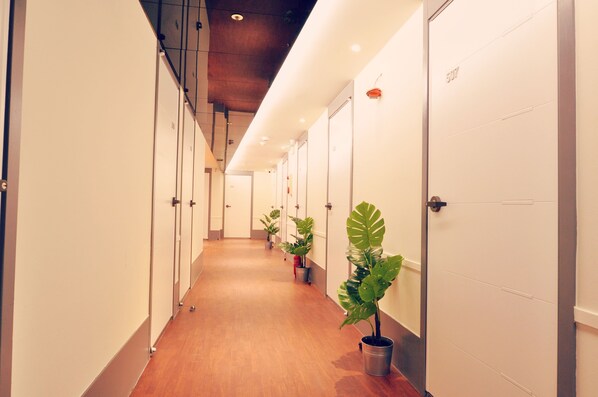 A long, narrow hallway with wooden flooring and white walls, lined with doors and potted plants.