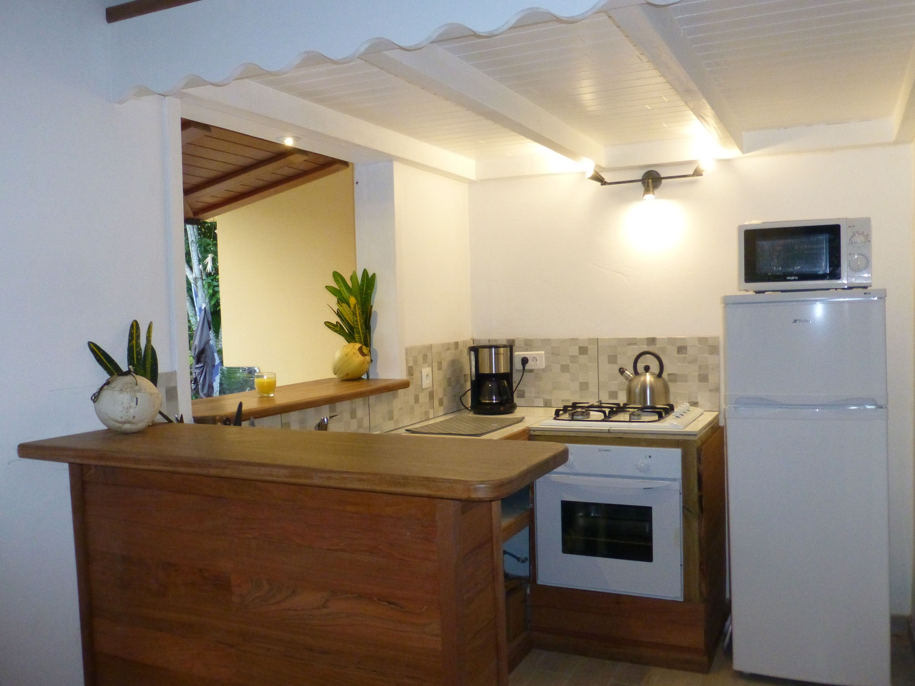 Frigorífico, microondas, horno y placa de cocina