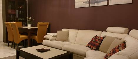 Flat-screen TV, video-game console, DVD player, books