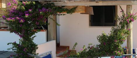 المنطقة المحيطة بالمنشأة