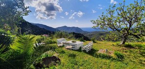 Property grounds - Apartment in a rustic atmosphere with sea views (Villanova)