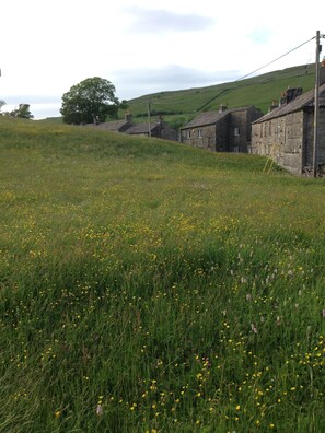 Overnatningsstedets område