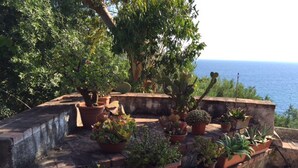 Un giardino pensile con diverse piante in vaso e vista sul mare.