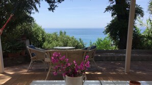 Un patio con mobili in vimini, un tavolo con una pianta in vaso e vista sul mare.