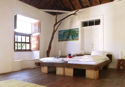 Holiday on the green Canary Island of La Palma.