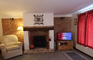 Smart TV, fireplace, books