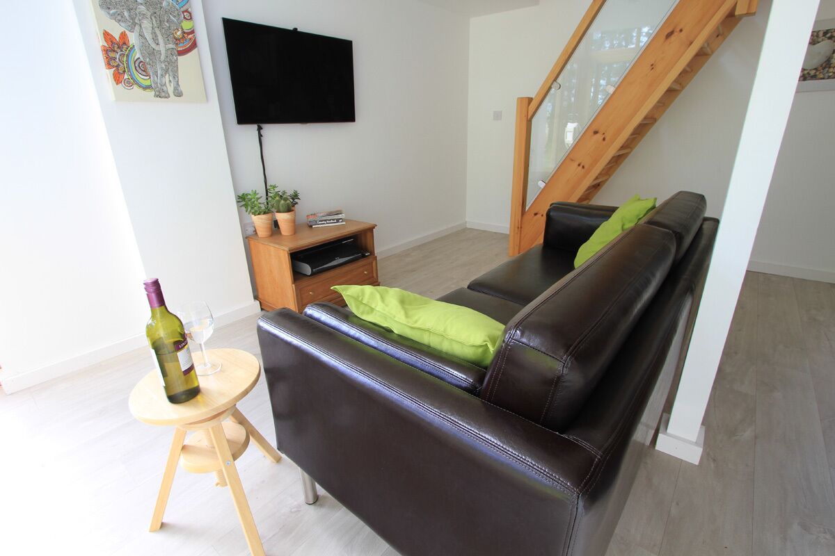 Smart TV, DVD player, video library