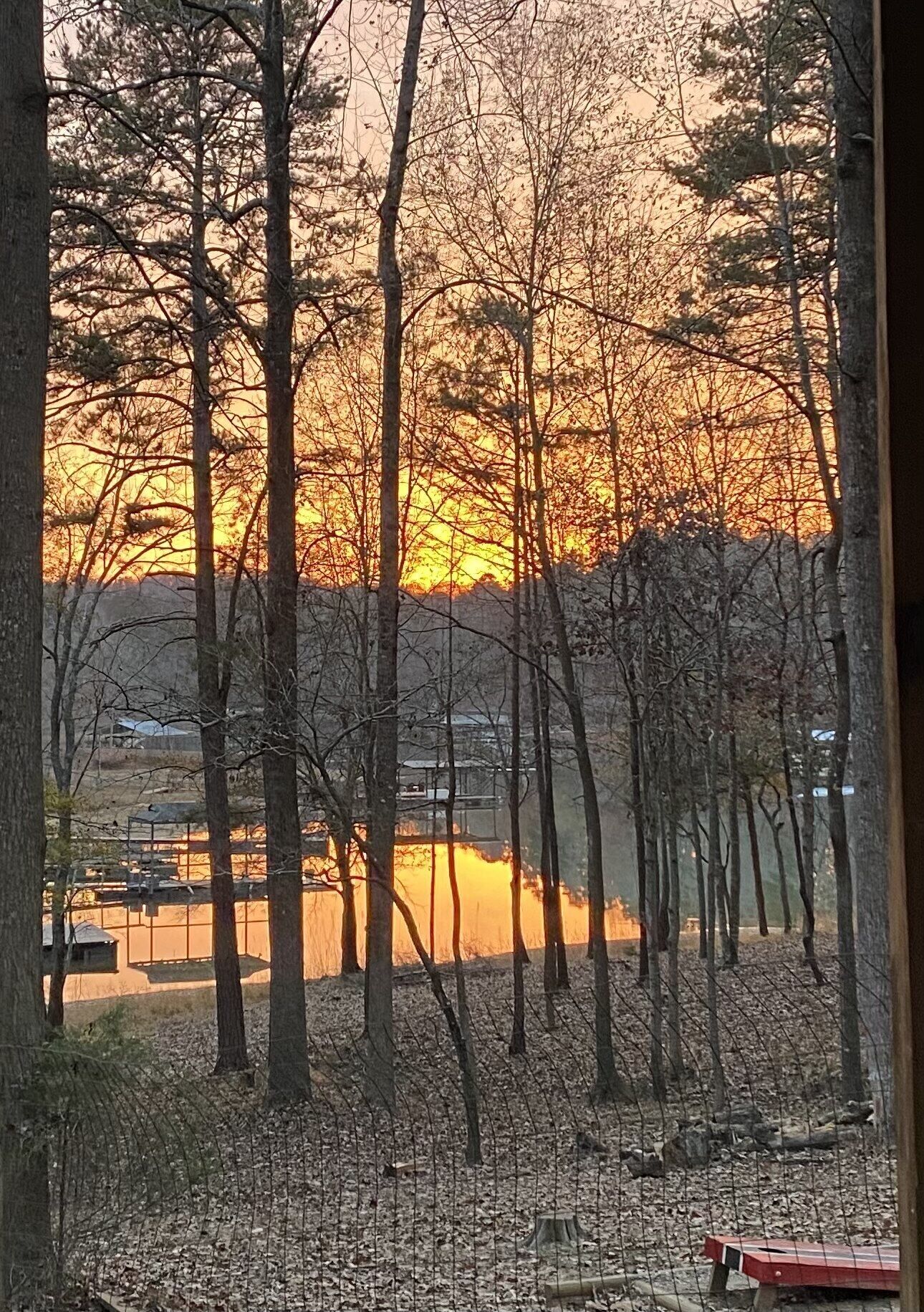 Lake Front Wooded Cabin - glamping vibe on Lake Hartwell, with Fire Pit & Dock.