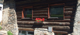 Rustico with style, modern and rustic, 2-4 P, in Val Poschiavo