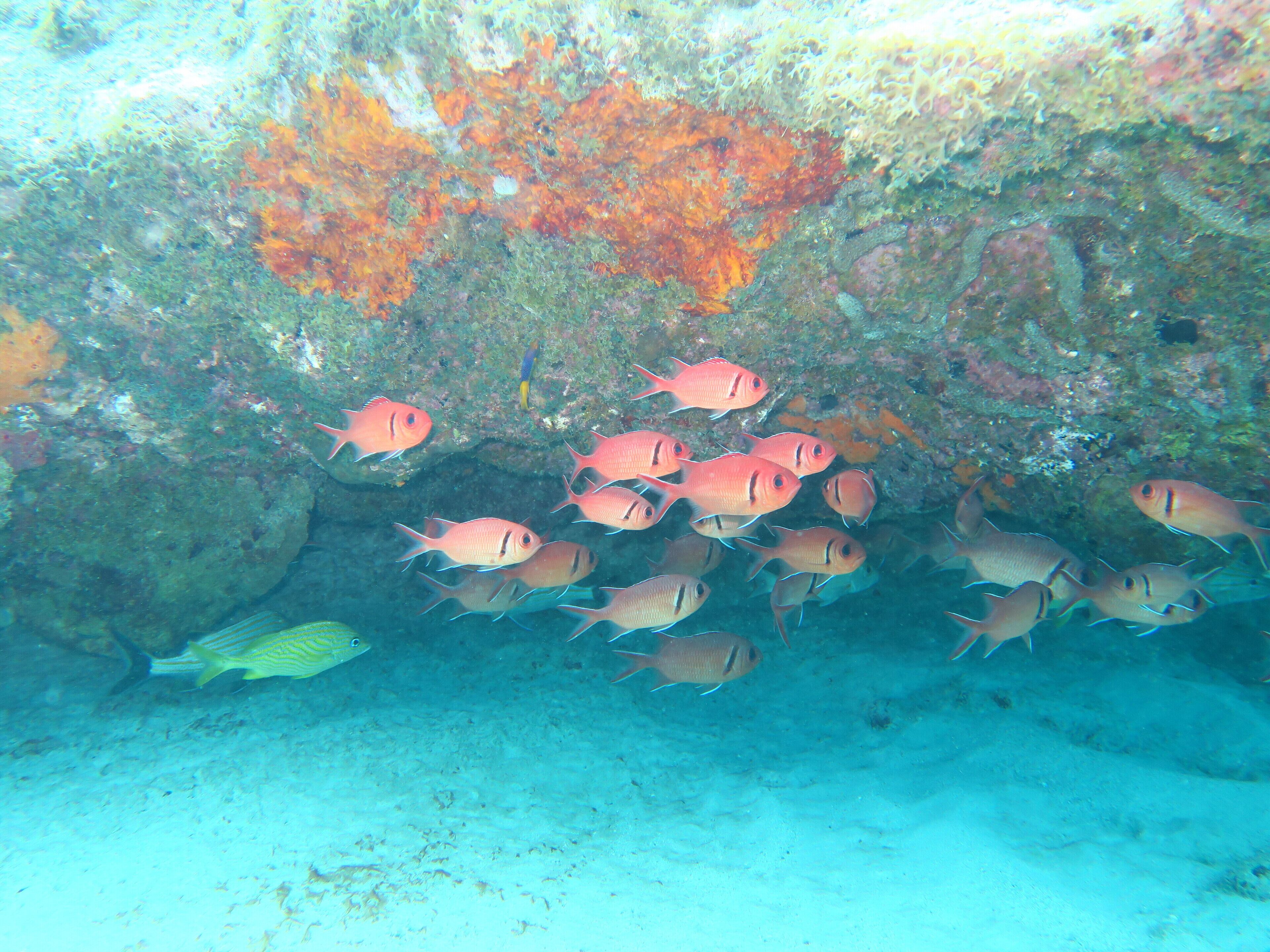 Basseng