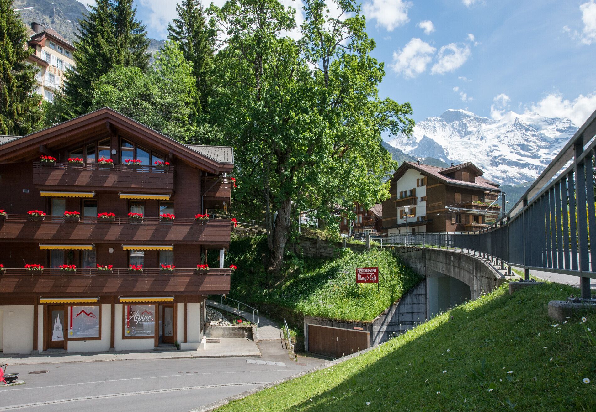 Eksteriør