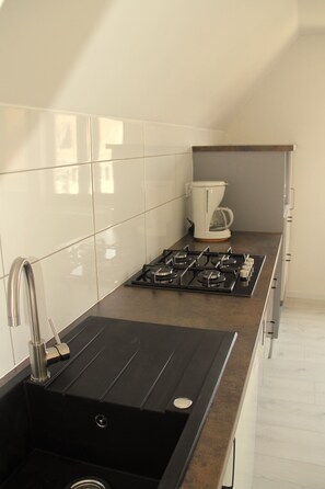 Fridge, microwave, stovetop, dishwasher