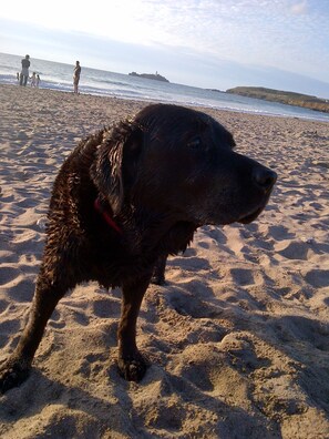 Playa en los alrededores 