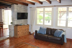 TV, fireplace, DVD player, ping pong