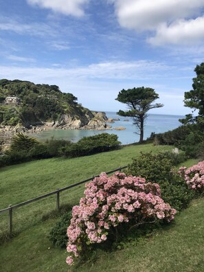 A coastal landscape with a prominent tree, a grassy area with pink flowers, and a distant view of the sea. - Detached Cottage Overlooking The Sea (Lee)