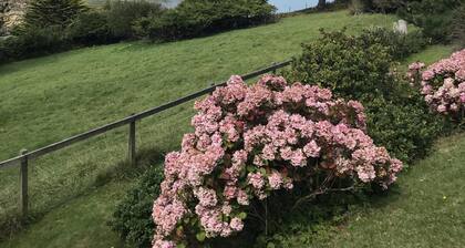 Detached Cottage Overlooking The Sea