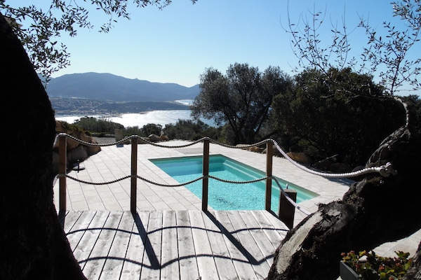 terrasse dans olivier