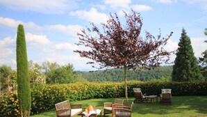 Un jardín con una mesa y sillas, rodeado de follaje y un árbol.