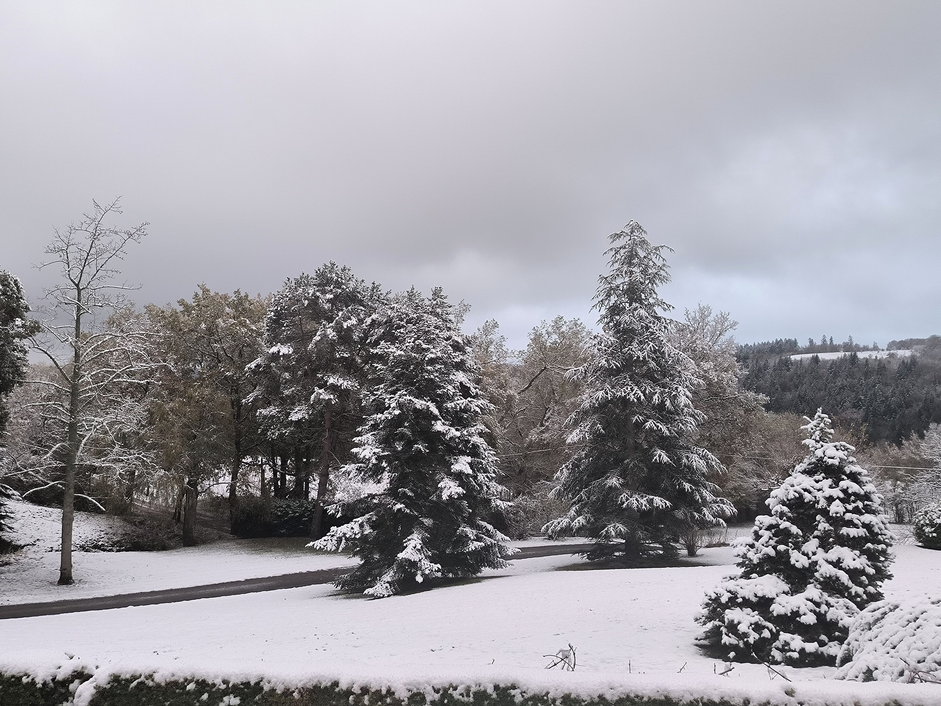 Schneebedeckte Landschaft mit Bäumen und einer Straße.