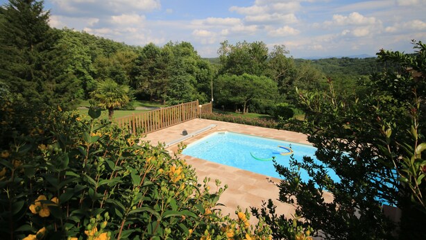 Una piscina rectangular rodeada de abundante vegetación y una valla de madera.