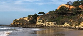 LUXURIOUS APARTMENT, EXOTIC GARDEN, POOL, QUIET ...