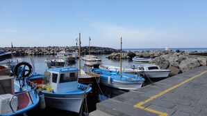 A marina with several boats docked, a rocky breakwater, and a clear sky.