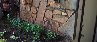 Two bedroom daylight basement apartment on 1 1/2 acres near University