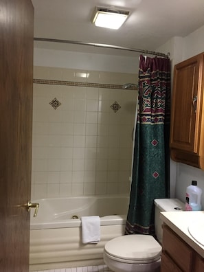Combined shower/bathtub, jetted bath, hair dryer, towels