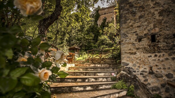 A stone staircase leading up to a building with a rustic appearance, surrounded by lush greenery. - House-Tower in 15th Century Borgo Fontanini - with mountain views (Zocca)