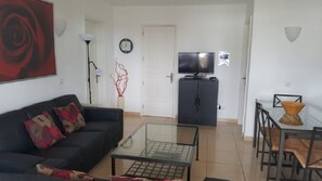 Smart TV, DVD player, books