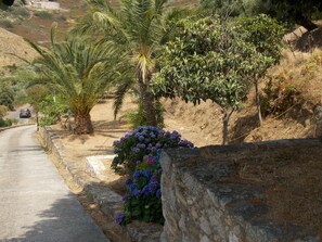 Property grounds - Villa fully equipped, air conditioned, with 2Kms of Ile Rousse, sea and mountain views (Santa-Reparata-Di-Balagna)