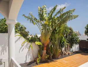 Un jardin sur le toit, agrémenté de diverses plantes tropicales et d’une piscine.