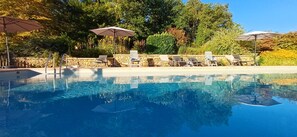 A swimming pool with clear blue water, surrounded by lounge chairs and umbrellas, set against a backdrop of trees and a stone wall.