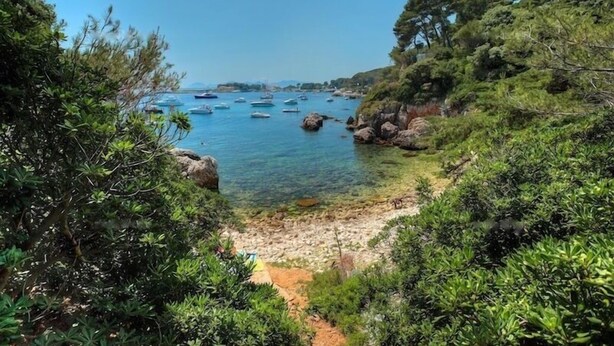 A coastal landscape with clear water, boats, and dense greenery. - Elegance and nice view over Cap D'Antibes and beaches (Antibes)