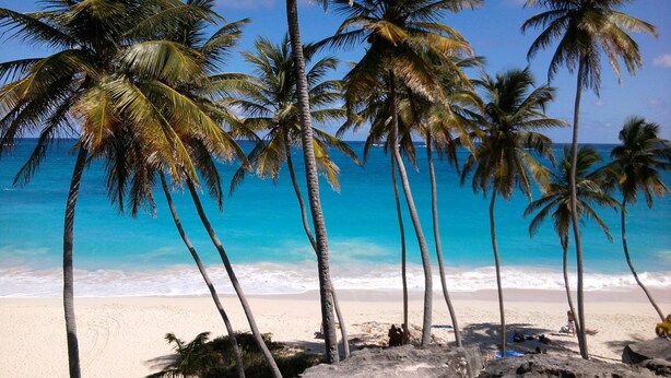A beach with palm trees and a clear view of the ocean. - Apartment with Pool set In 70 Acres Of Beautifully Lush Tropical Gardens (Rockley)