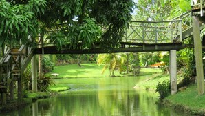 A wooden bridge over a calm water body with lush greenery and a well-maintained garden. - Apartment with Pool set In 70 Acres Of Beautifully Lush Tropical Gardens (Rockley)