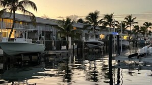 A marina with boats docked, palm trees, and a building with a balcony.