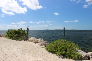 Sillas reclinables de playa, toallas de playa