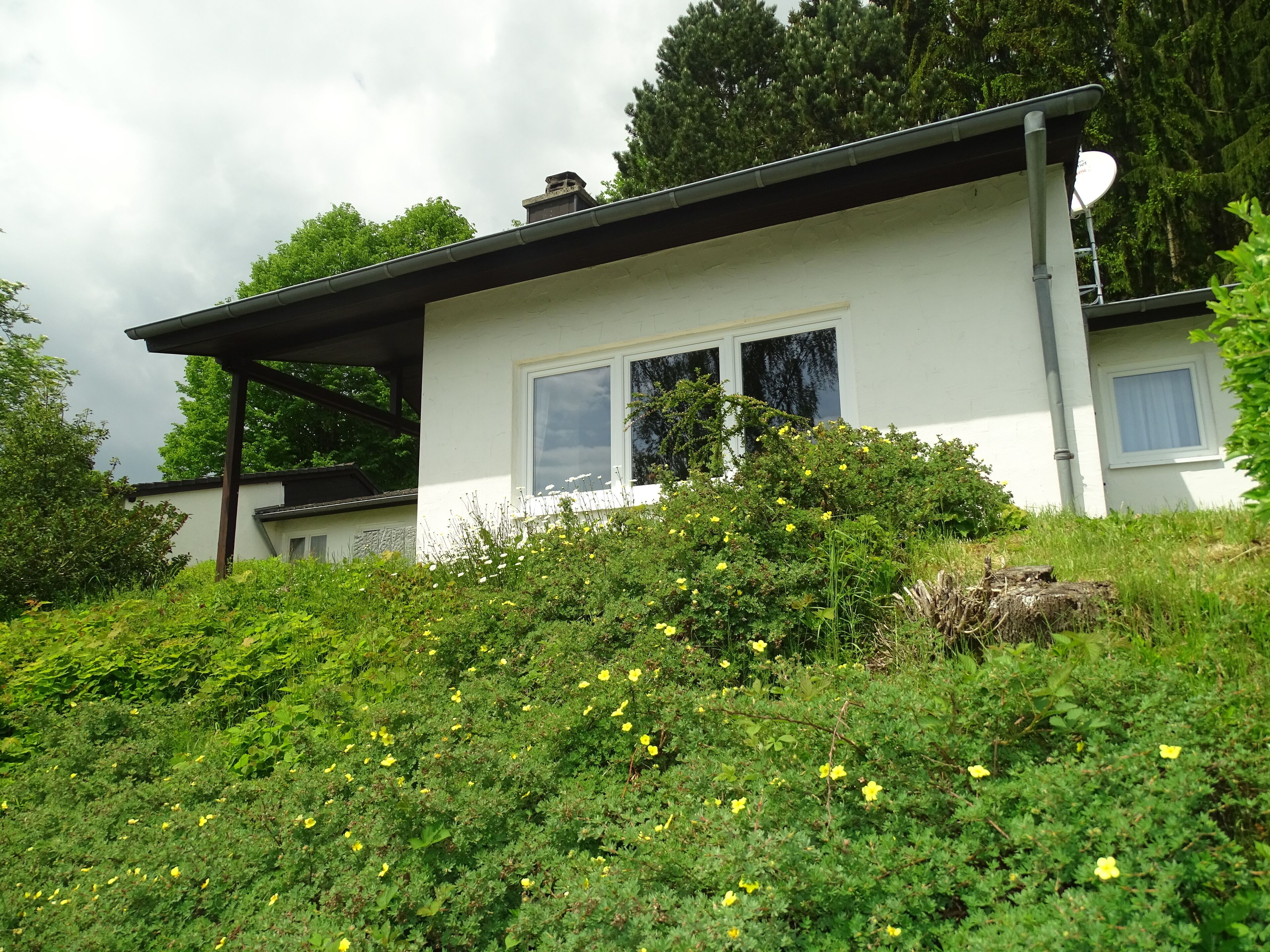 Newly renovated cottage with great amenities between forest and lake.