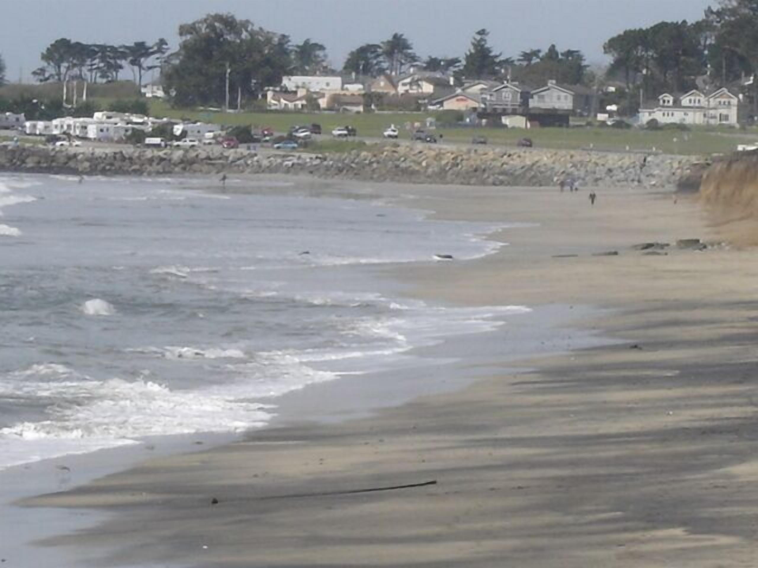 Ocean, Beach, Trails... 5 Minutes West! Lease Available.