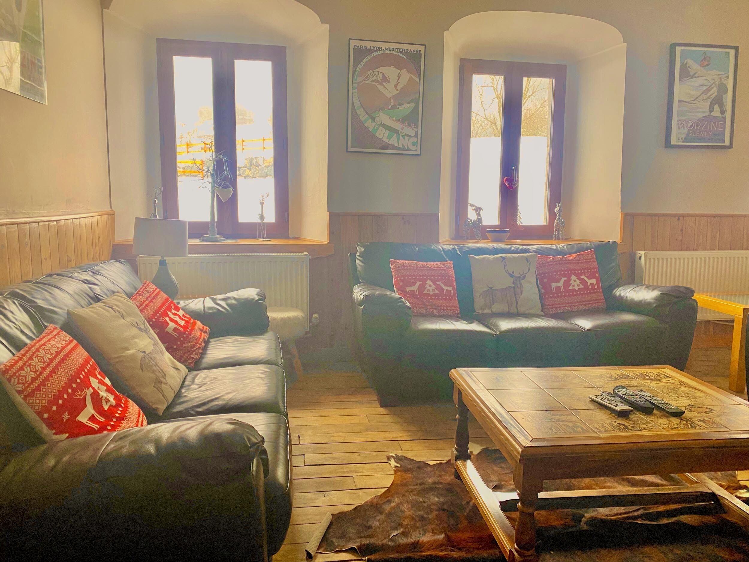 智能电视、壁炉、电子游戏、DVD 播放器