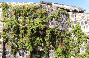 Detalle del exterior
