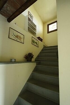 A staircase with a handrail, a small shelf with a plant, and framed pictures on the wall. - Hilltop paradise cottage, a stone's throw from Florence ! (Scandicci (Firenze))