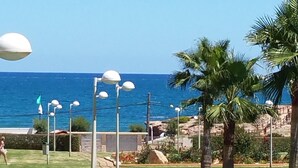 A pathway leading to a beach with palm trees and street lamps.