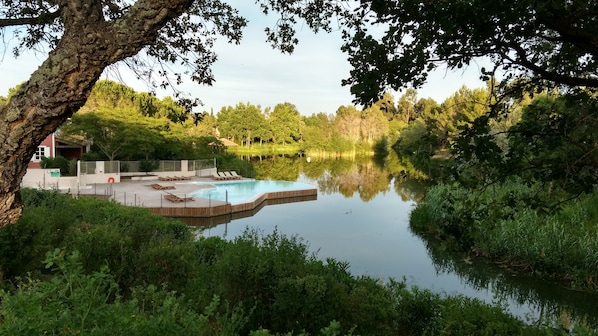 Une piscine ext érieure paisible, entourée d’une végétation luxuriante et d’arbres, avec des chaises longues et une clôture.