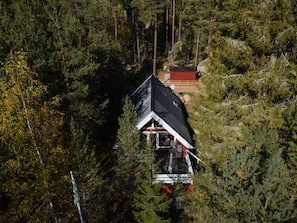 Escape to a serene Japanese-style retreat surrounded by tall pine trees in a secluded forest setting.