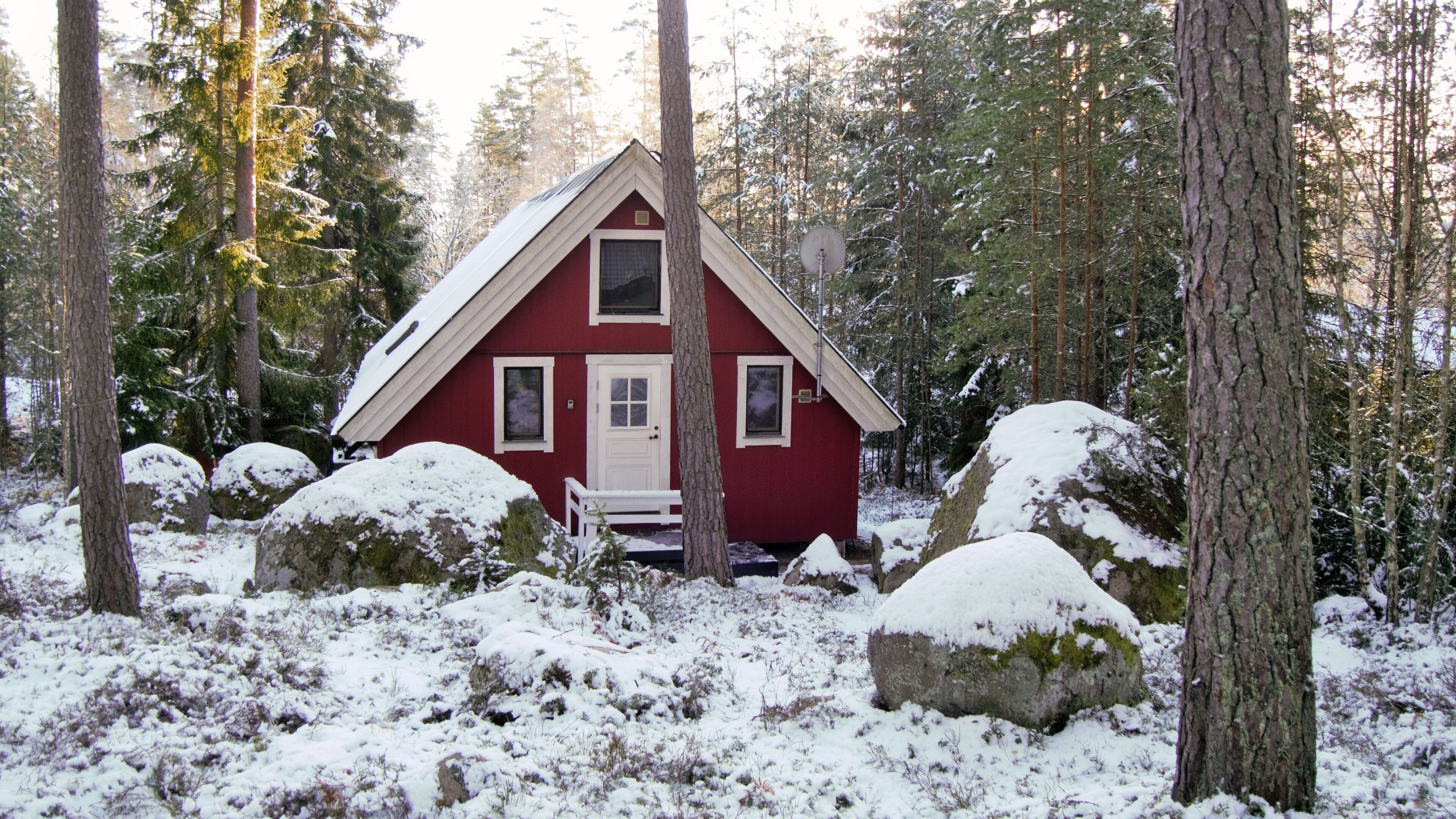 Exteriör