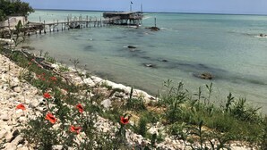 A coastal scene with a pier extending into the sea, surrounded by clear water and rocky shoreline with red poppies. - Fully restored country villa with pool set in private gardens (Castel Frentano)