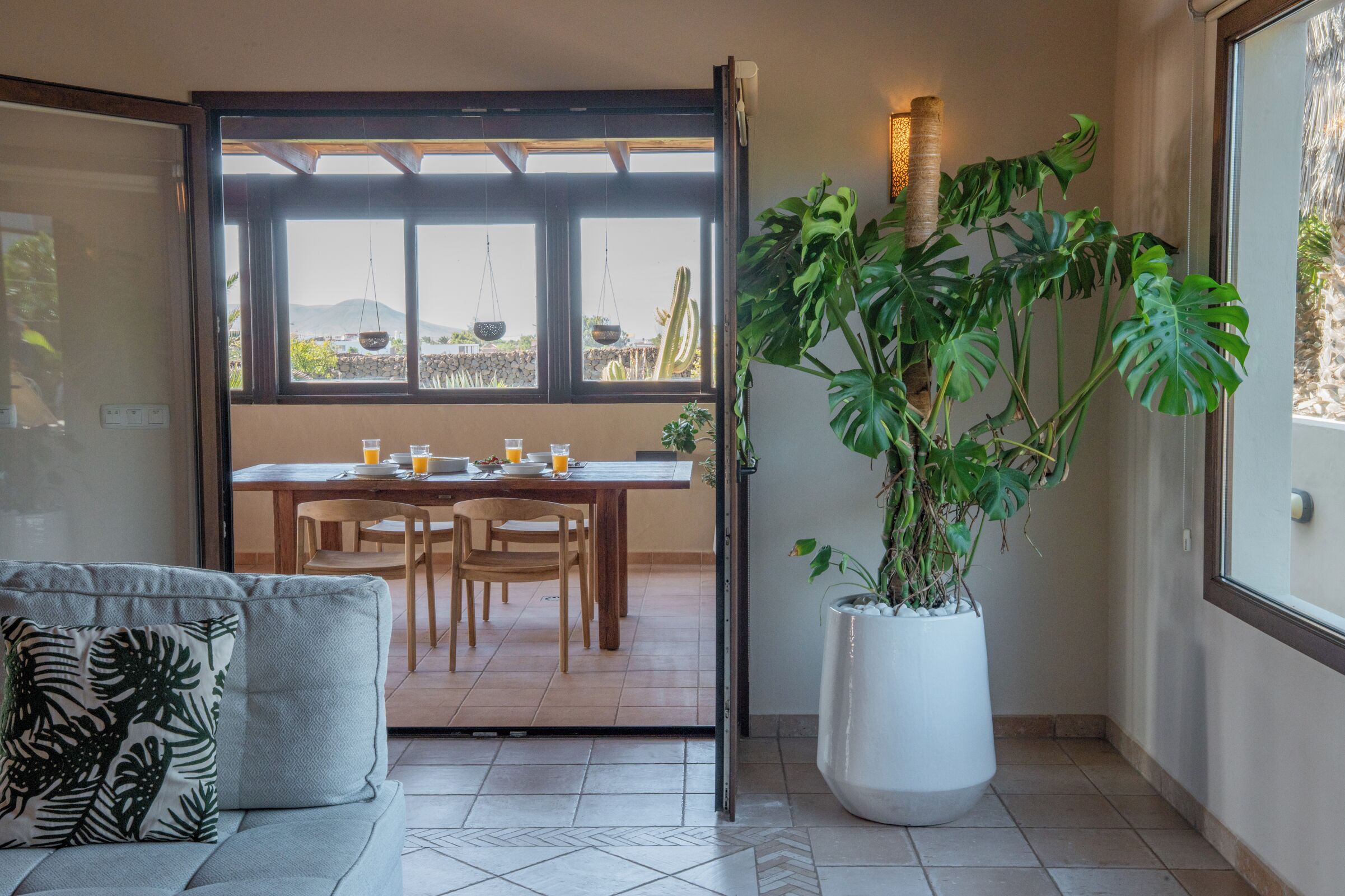 Een eetgedeelte met een tafel en stoelen, een grote potplant en uitzicht op het omliggende landschap door een raam.