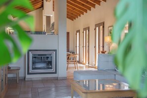 Smart TV, chimenea, reproductor de DVD, libros